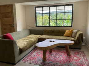 3 BDR new Apartment in PORT BARTON